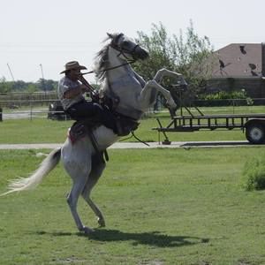 Meet your Posher, Thomas